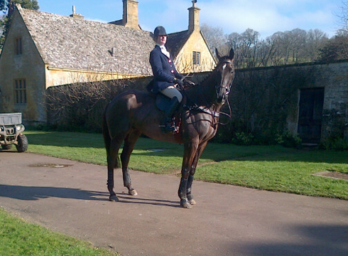 Denman