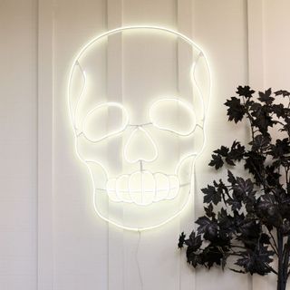 LED skull wall art