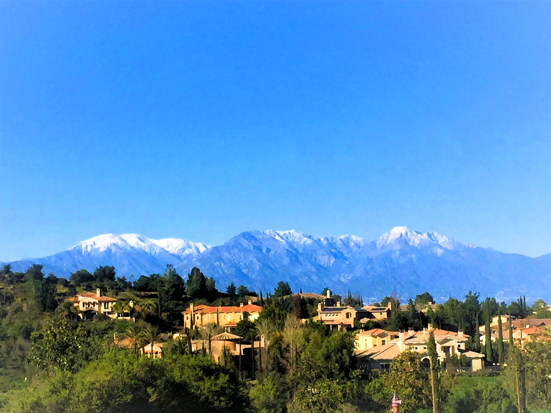 GuruShots - February 2026