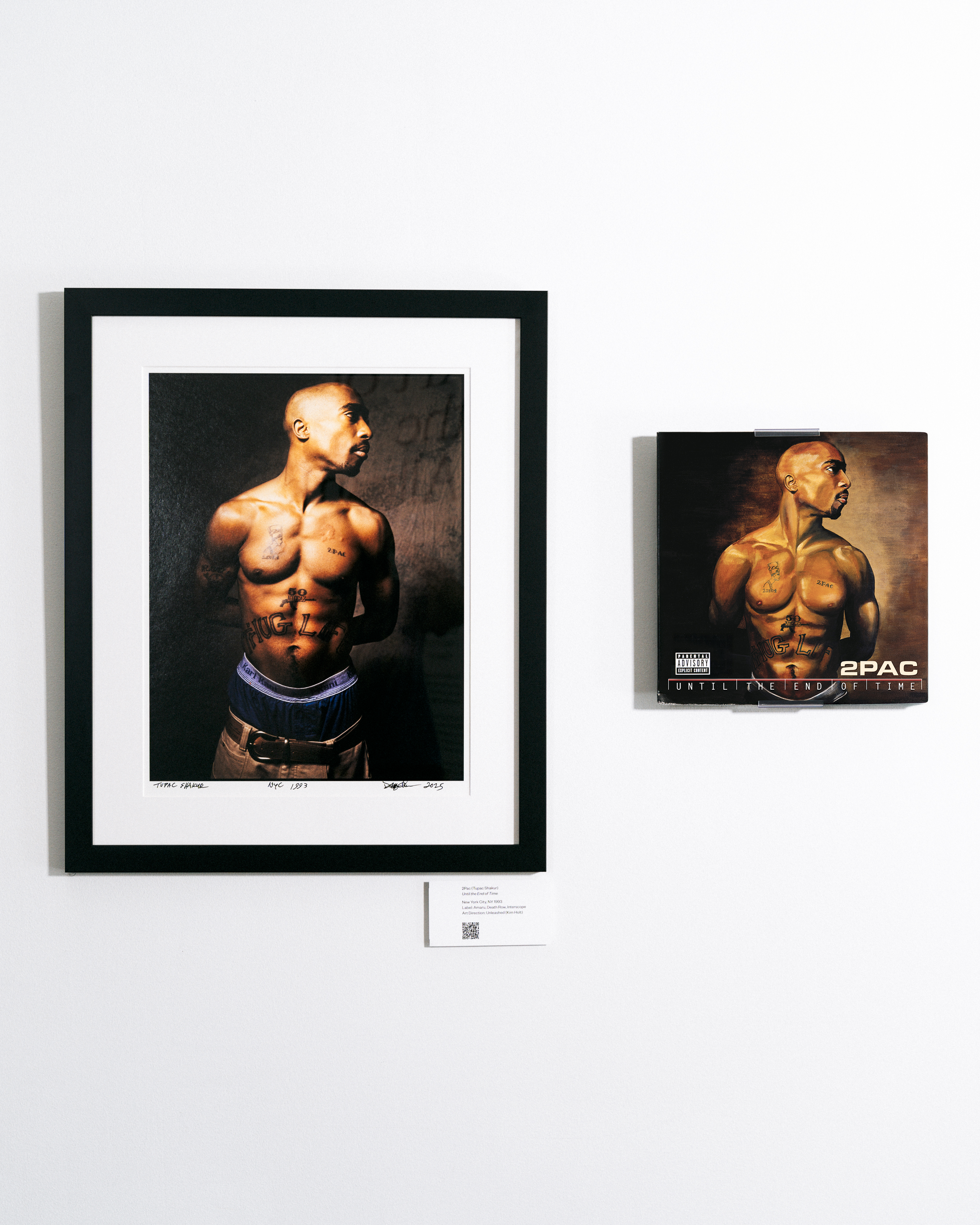 Wrensilva-Gallery-DannyClinch