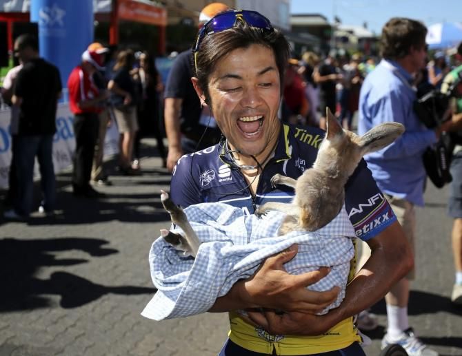 Takashi Miyazawa tries to hold onto his joey before it hops away