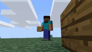 Steve in Minecraft.