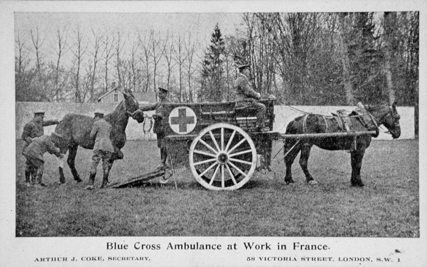 Animal Ambulance France