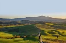 Brunello di Montalcino