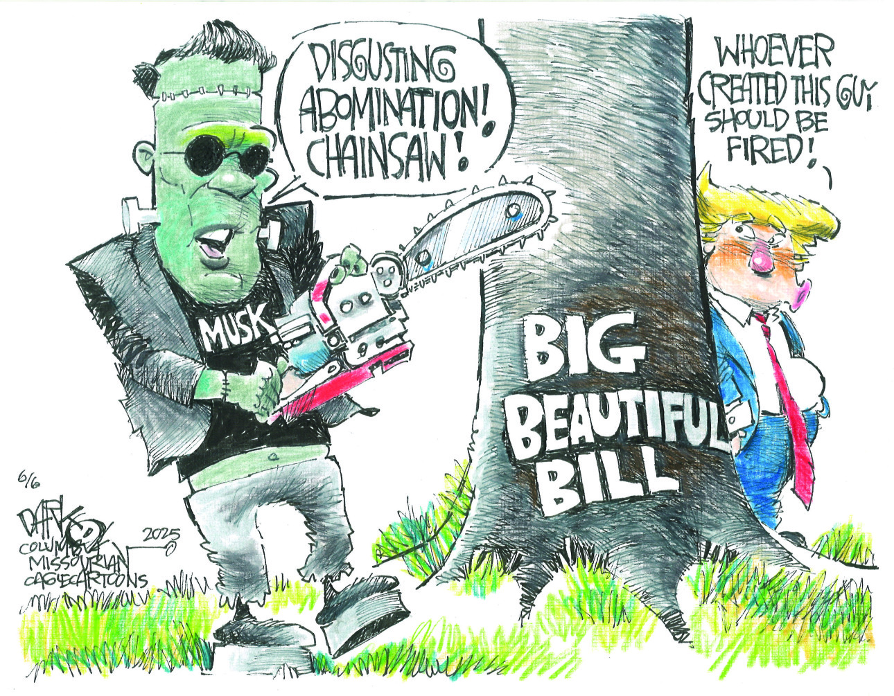 This cartoon depicts Elon Musk as a Frankenstein’s-monster figure. He holds a chainsaw and is about to cut down a tree labeled “Big Beautiful bill.” Donald Trump hides behind the tree. Musk says, “Disgusting Abomination! Chainsaw!” Trump says, “Whoever created this guy should be fired!”