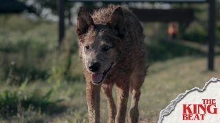 Dog in Pet Sematary: Bloodlines The King Beat