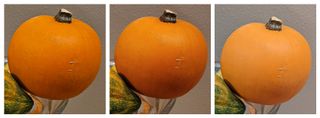 Three identical photos of an orange pumpkins side by side
