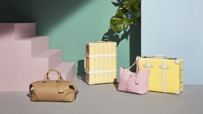 The best suitcases! A collection of pastel coloured suitcases and luggage against a pastel blue backdrop