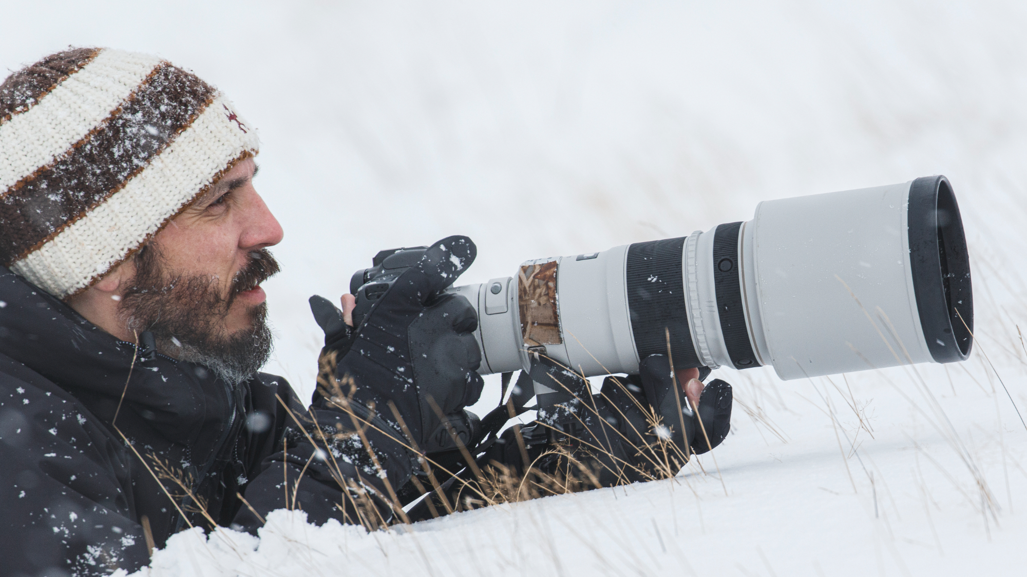 Best camera for wildlife photography in 2023 | Digital Camera World