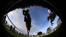 Fontwell-GettyImages-1212394422.jpg