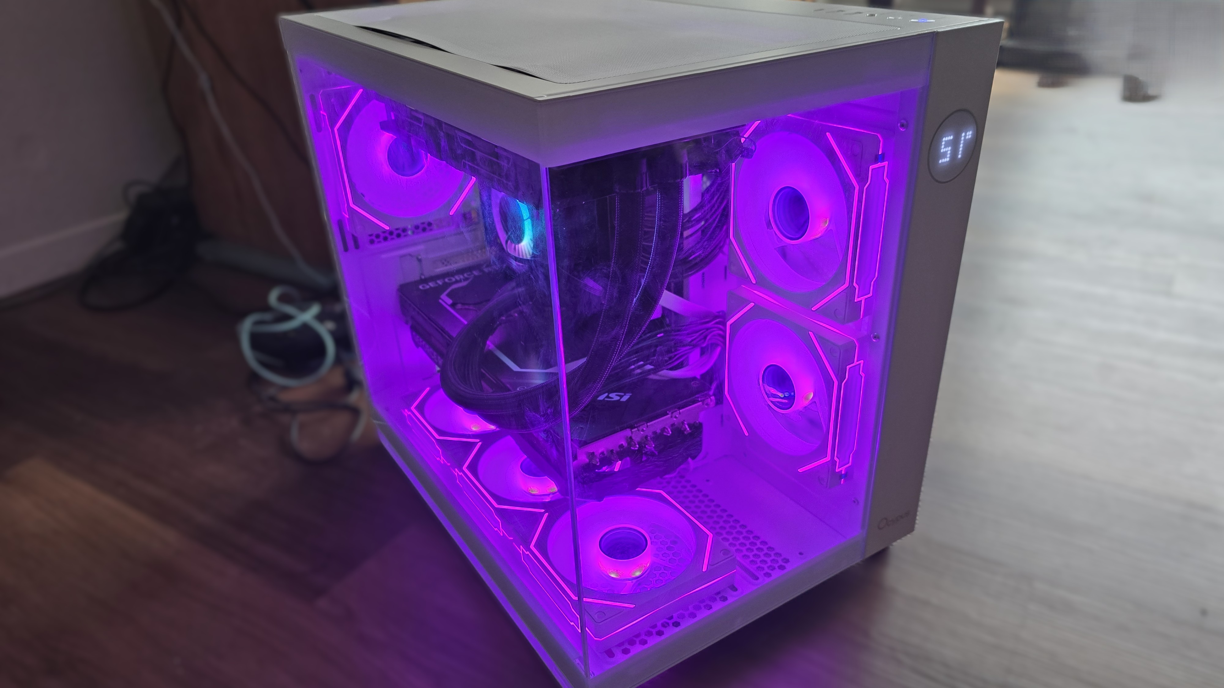 Ocypus Iota C7