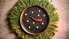 casa dani katsuya century city review