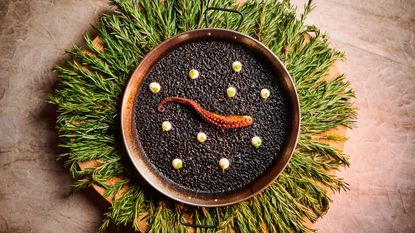 casa dani katsuya century city review