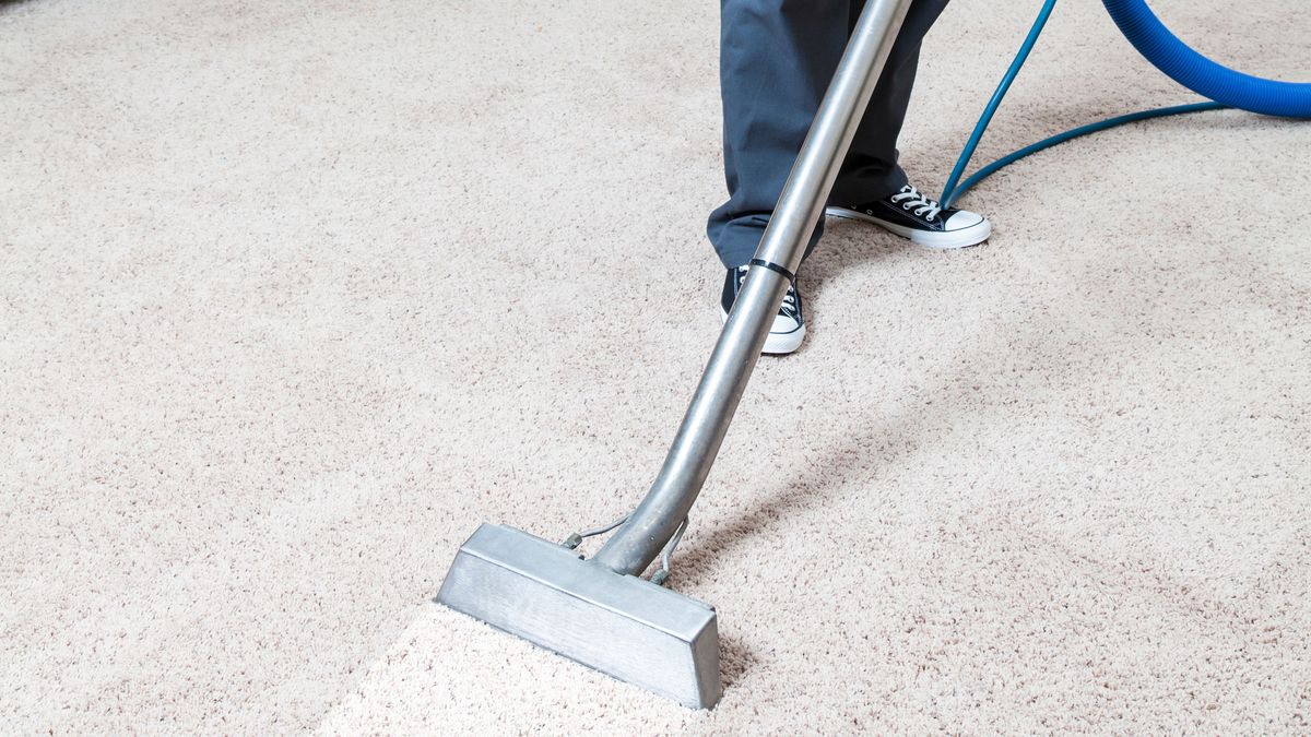 How to remove mould from carpet and stop it coming back Homebuilding