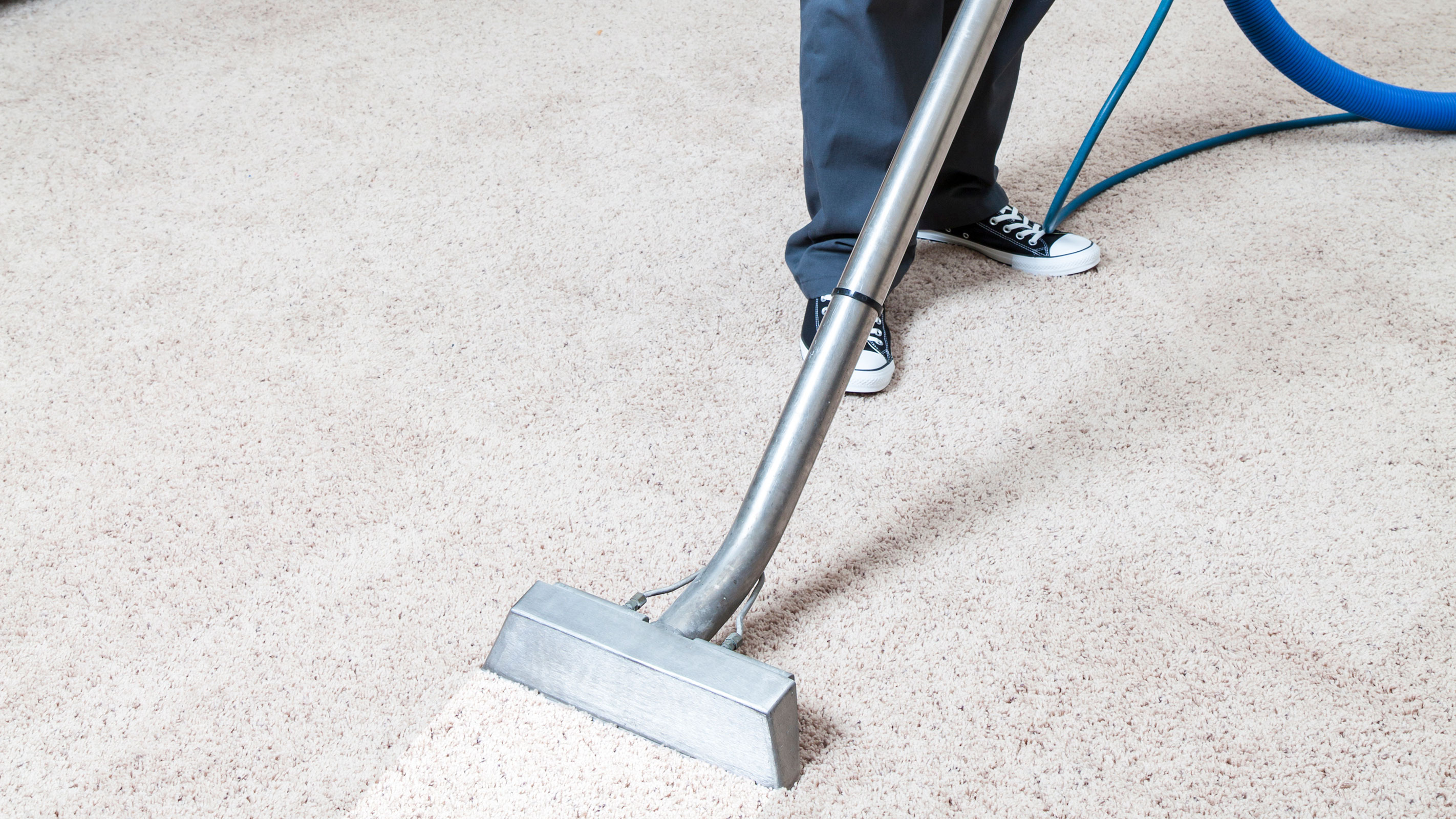 how-to-remove-mould-from-carpet-and-stop-it-coming-back-homebuilding