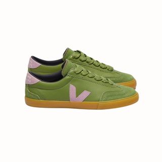 Flat lay image of green veja volley