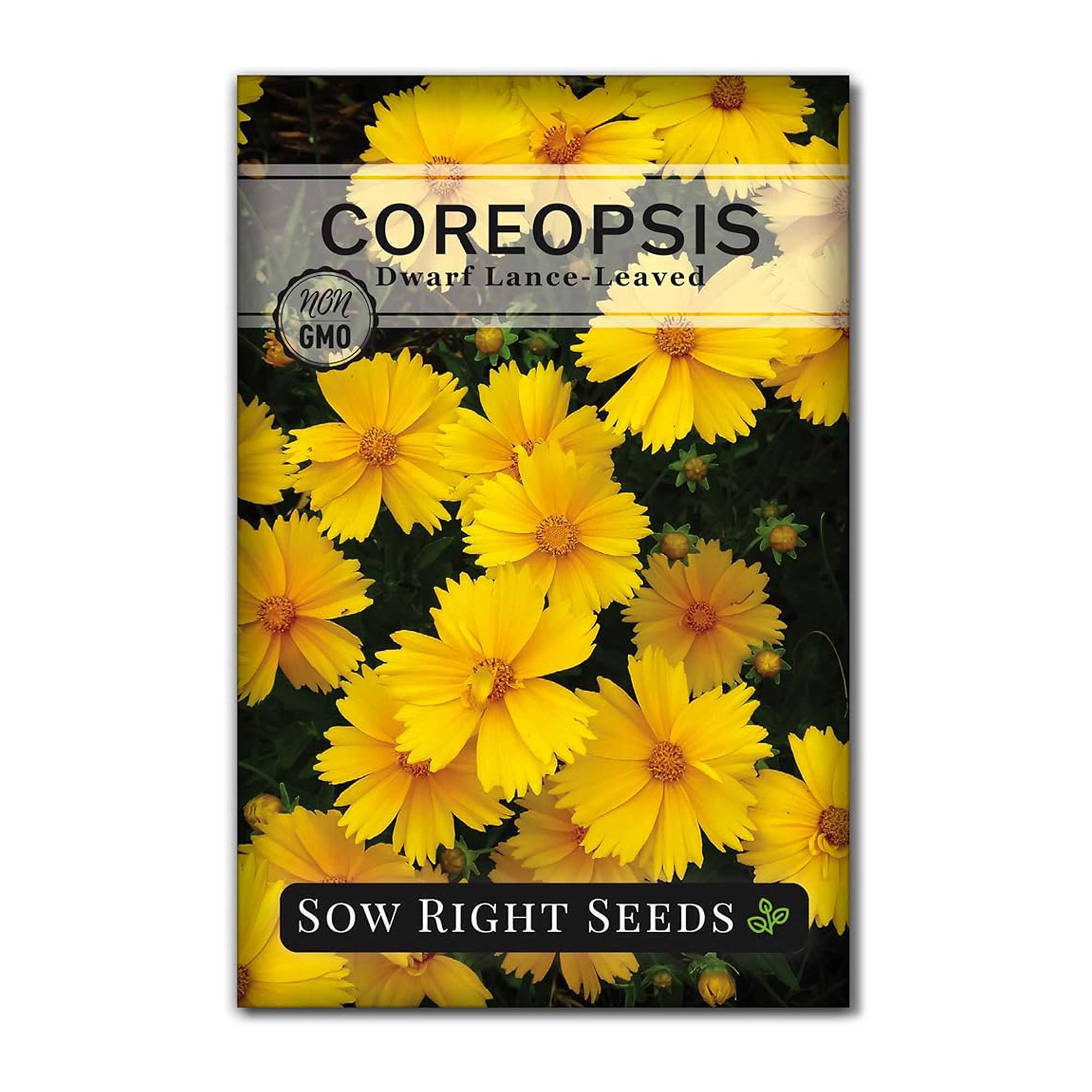 Sow Right Seeds coreopsis