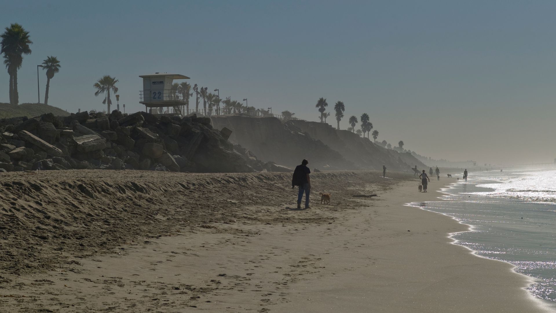 Huntington Dog Beach, California