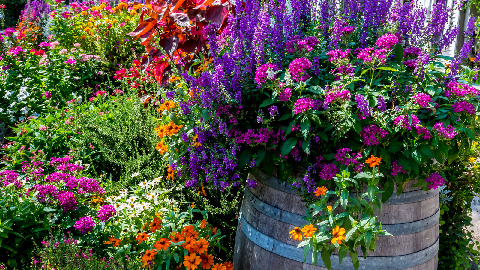 big garden pot in small yard with lots of plants