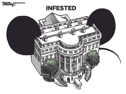 Political Cartoon White House Disney Mice Infested Trump