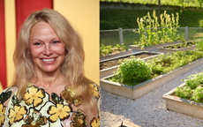 A split image with a headshot of Pamela Anderson smiling and a picture of a vegetable garden of raised beds
