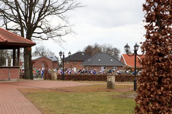 The trees are bare, or their leaves are brown; still winter in Drenthe