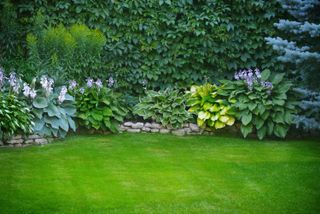 stone wall in shaded spot around lawn