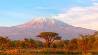 Mount Kilimanjaro with acacia tree in foreground