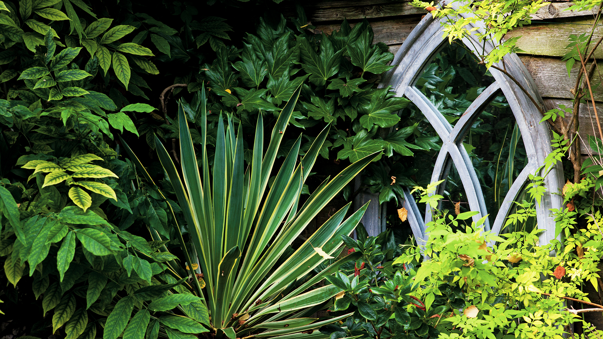 Mirror reflects light in shade garden