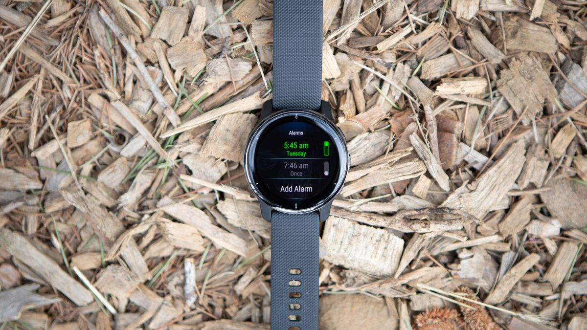 Garmin Venu 2 Plus Alarm