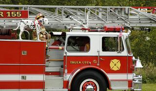 Why Are Dalmatians The Official Firehouse Dogs Live Science