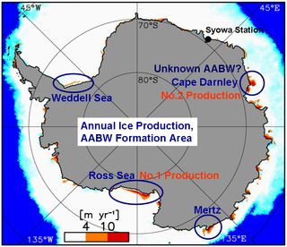 Sources of Antarctic Bottom Water currents. The Cape Darnley region produces about 10 percent of the continent's dense, chilly water, which flows north, stimulating global ocean circulation.