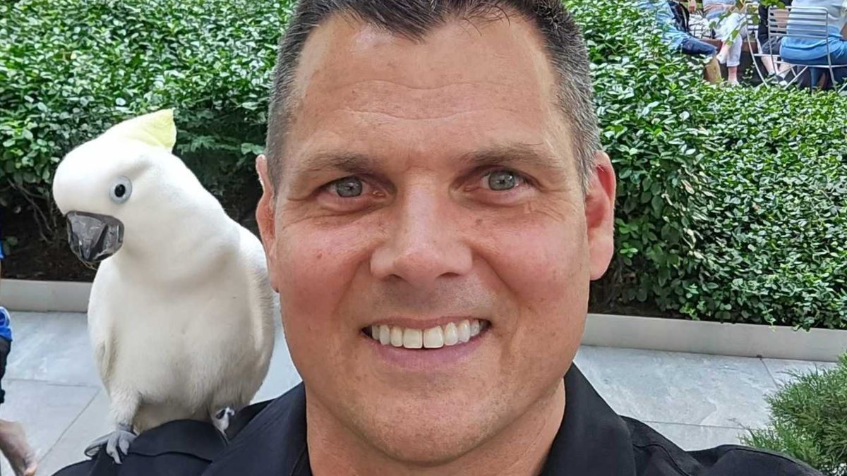 Samsung Galaxy Z Fold 6 AI generated image of a parrot on a man's shoulder