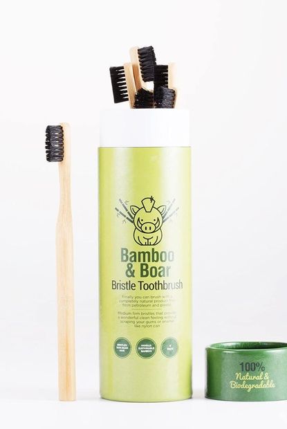 Gaia Guy toothbrush Natural Bristle Bamboo Toothbrush