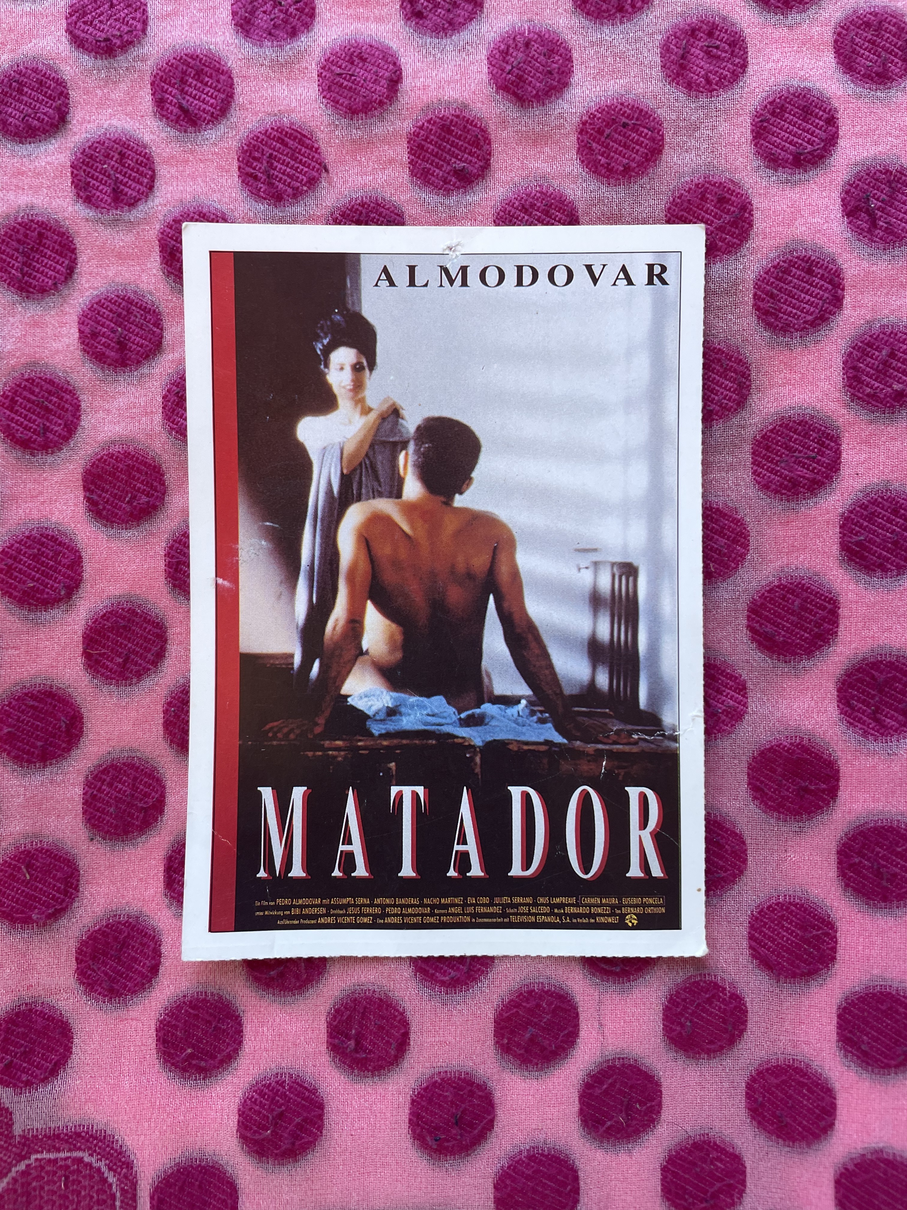 Almodovar Matador