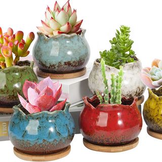 Set of colorful ceramic succulent planters