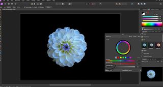 Using the Selection Brush Tool, select the flower, then invert the selection and turn the background black using the Luminosity slider in the HSL Panel