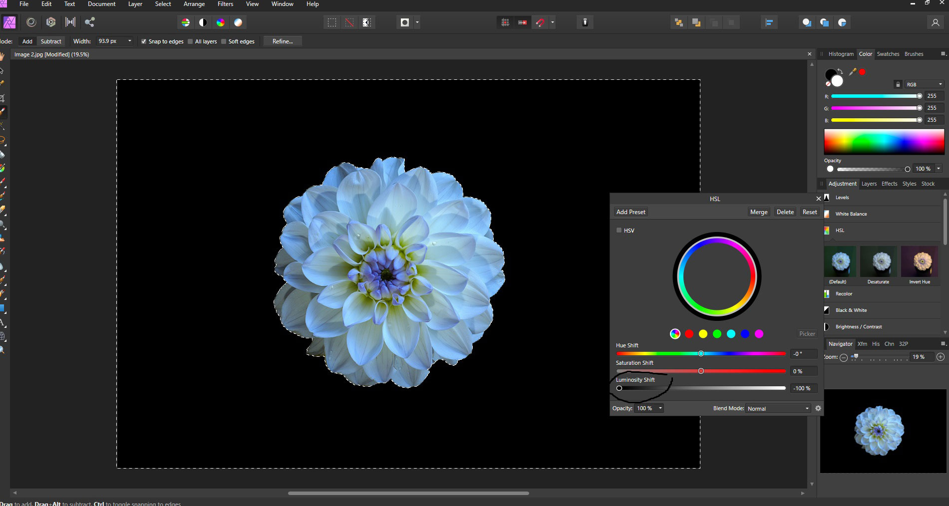 Using the Selection Brush Tool, select the flower, then invert the selection and turn the background black using the Luminosity slider in the HSL Panel