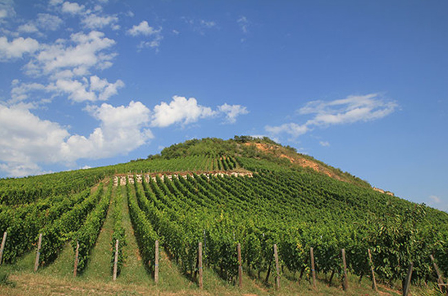 Heimbourg, credit Julien Boulard