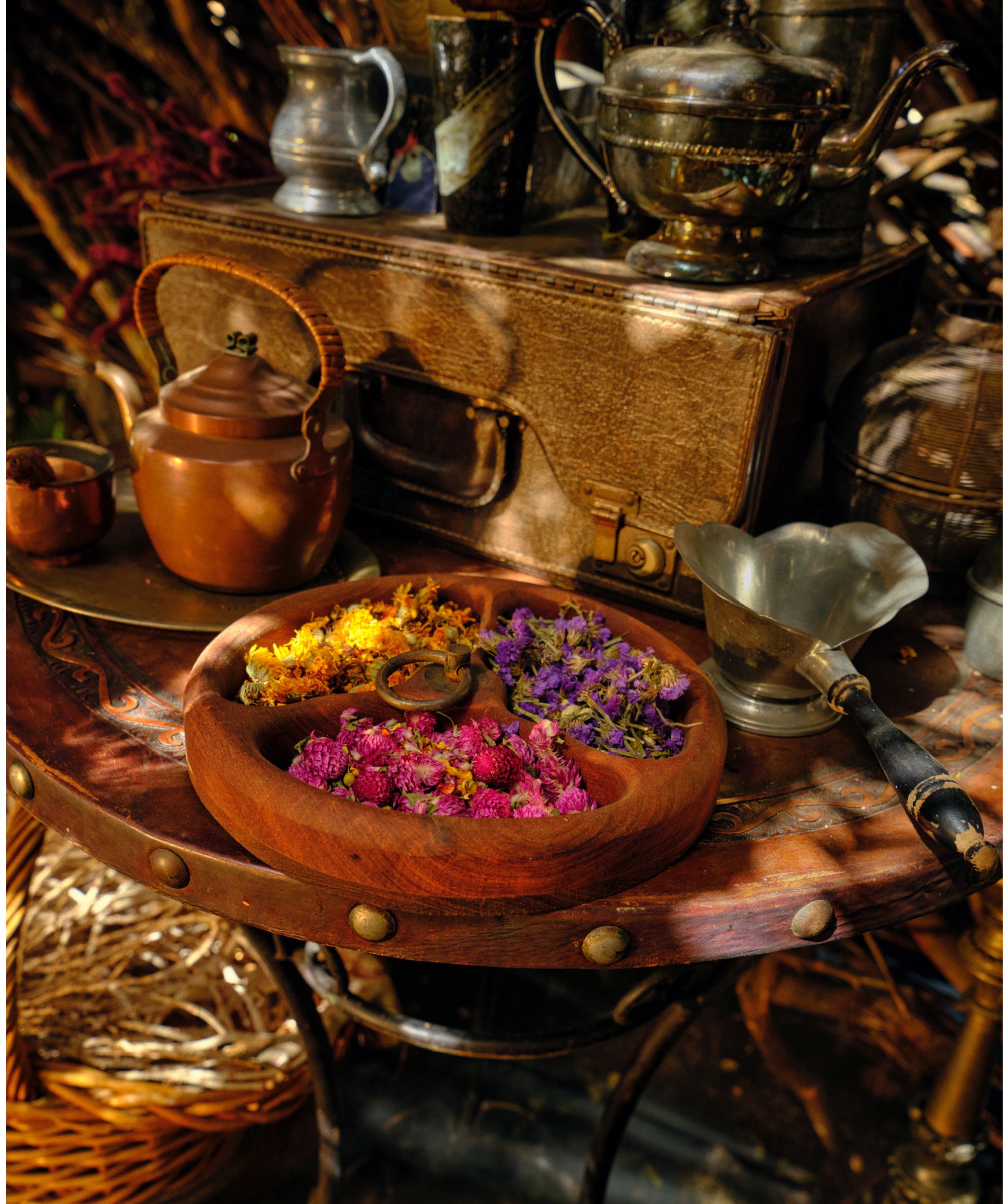 elphaba&#039;s retreat on airbnb