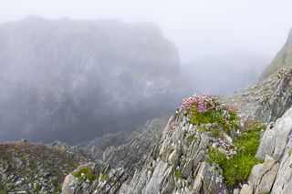Canon Mist Fog Landscapes