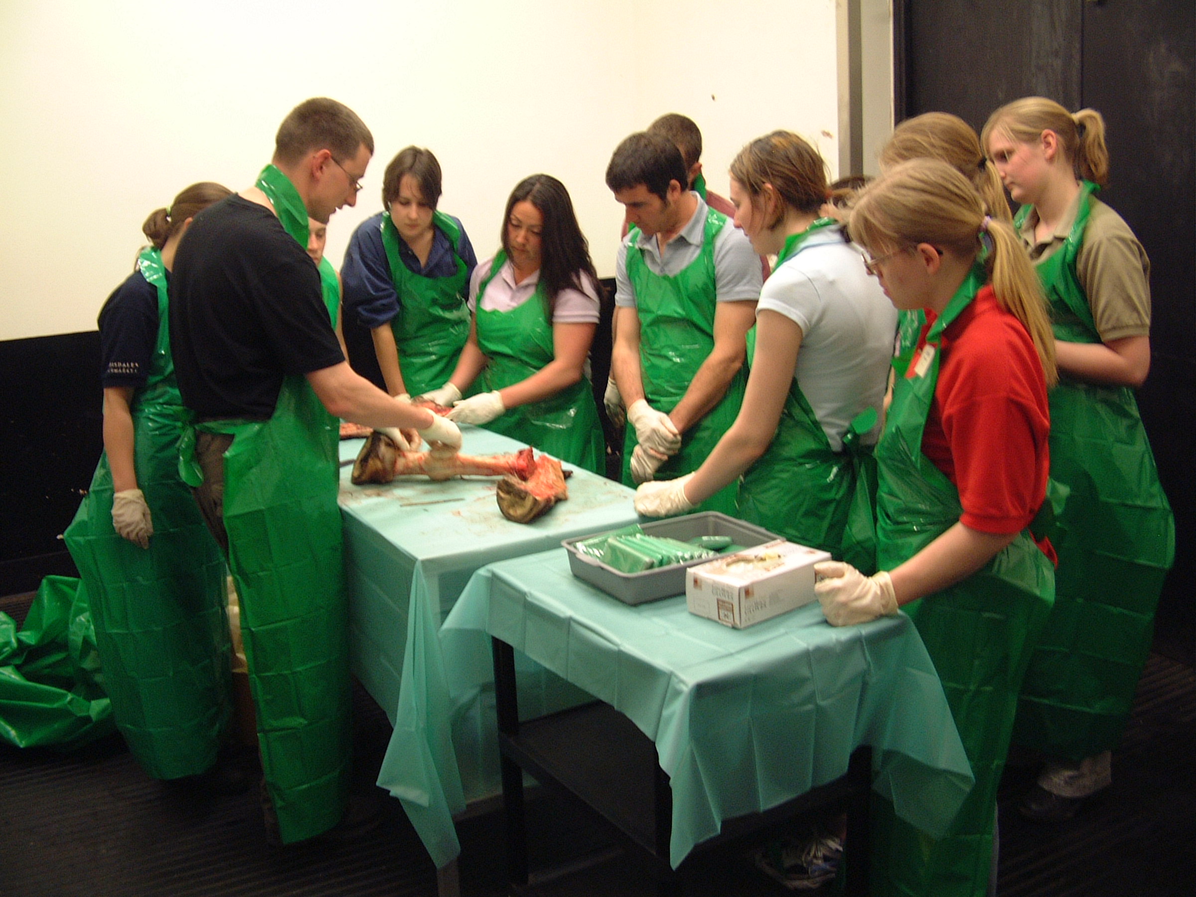 Matt @ Rossdales Dissection lecture