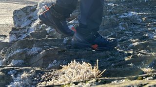 Hiking in the Salomon X Ultra Alpine hiking shoes