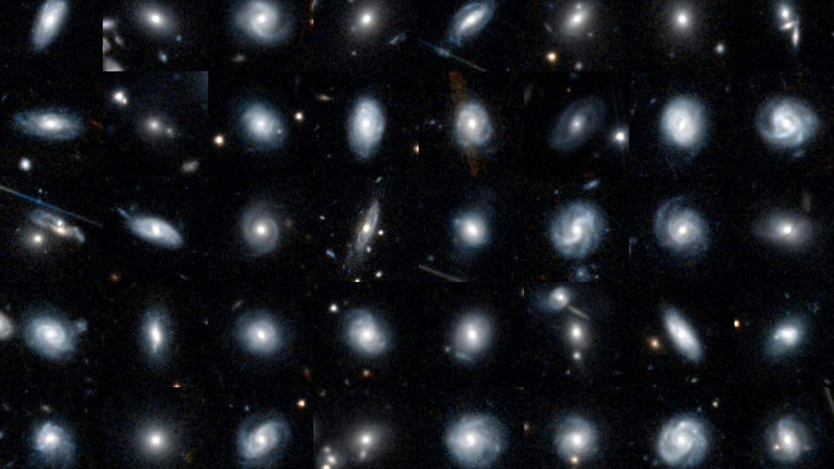 orty galaxies are shown against a black background. The galaxies are all different in shape, some look like spirals, some look barred, or smooth.