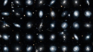 orty galaxies are shown against a black background. The galaxies are all different in shape, some look like spirals, some look barred, or smooth.