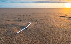 Plastic straws washed up on beaches are a depressingly-common sight.