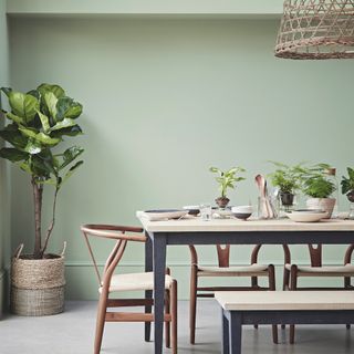 room with potted plant bench and wooden chair