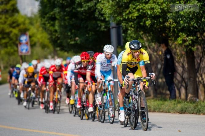The peloton strung out in a long line
