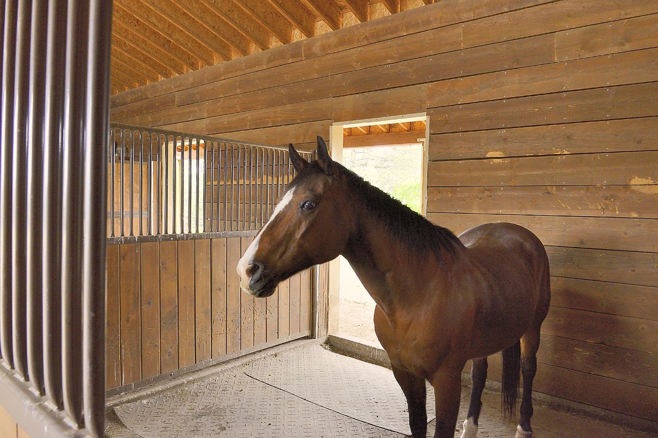 6 idyllic homes for horse lovers The Week