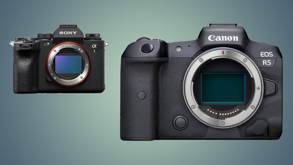 Camera decision. Canon r5c. Canon vs Sony. Canon r5 времени. Почему Кэнон ослеп.